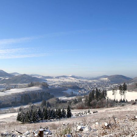 Waldhotel Schinkenwirt Olsberg Dış mekan fotoğraf