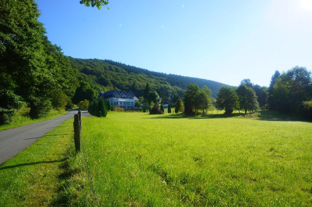 Waldhotel Schinkenwirt Olsberg Dış mekan fotoğraf