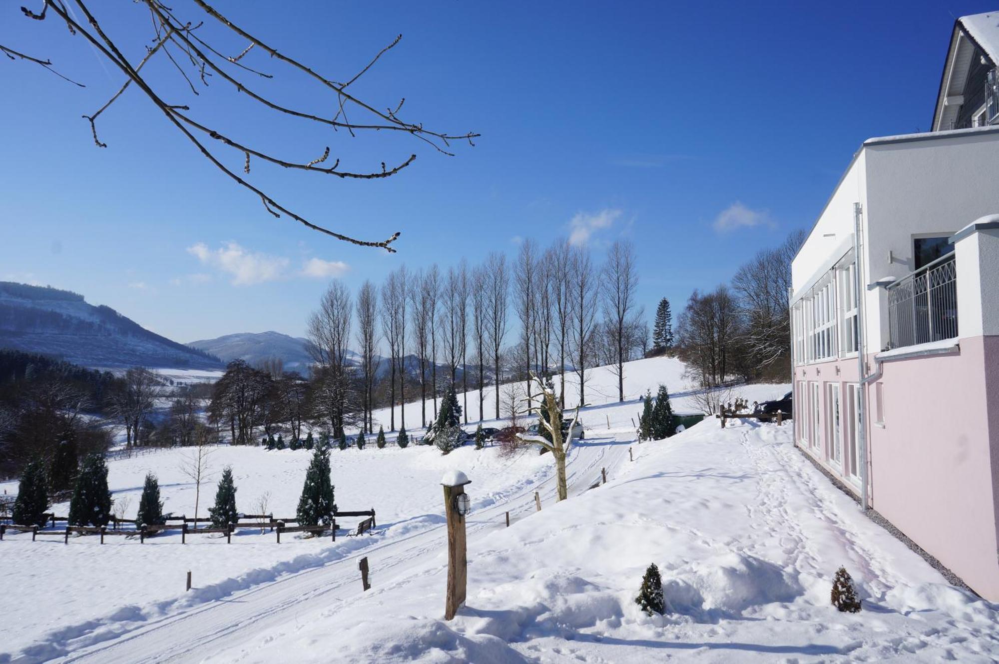 Waldhotel Schinkenwirt Olsberg Dış mekan fotoğraf