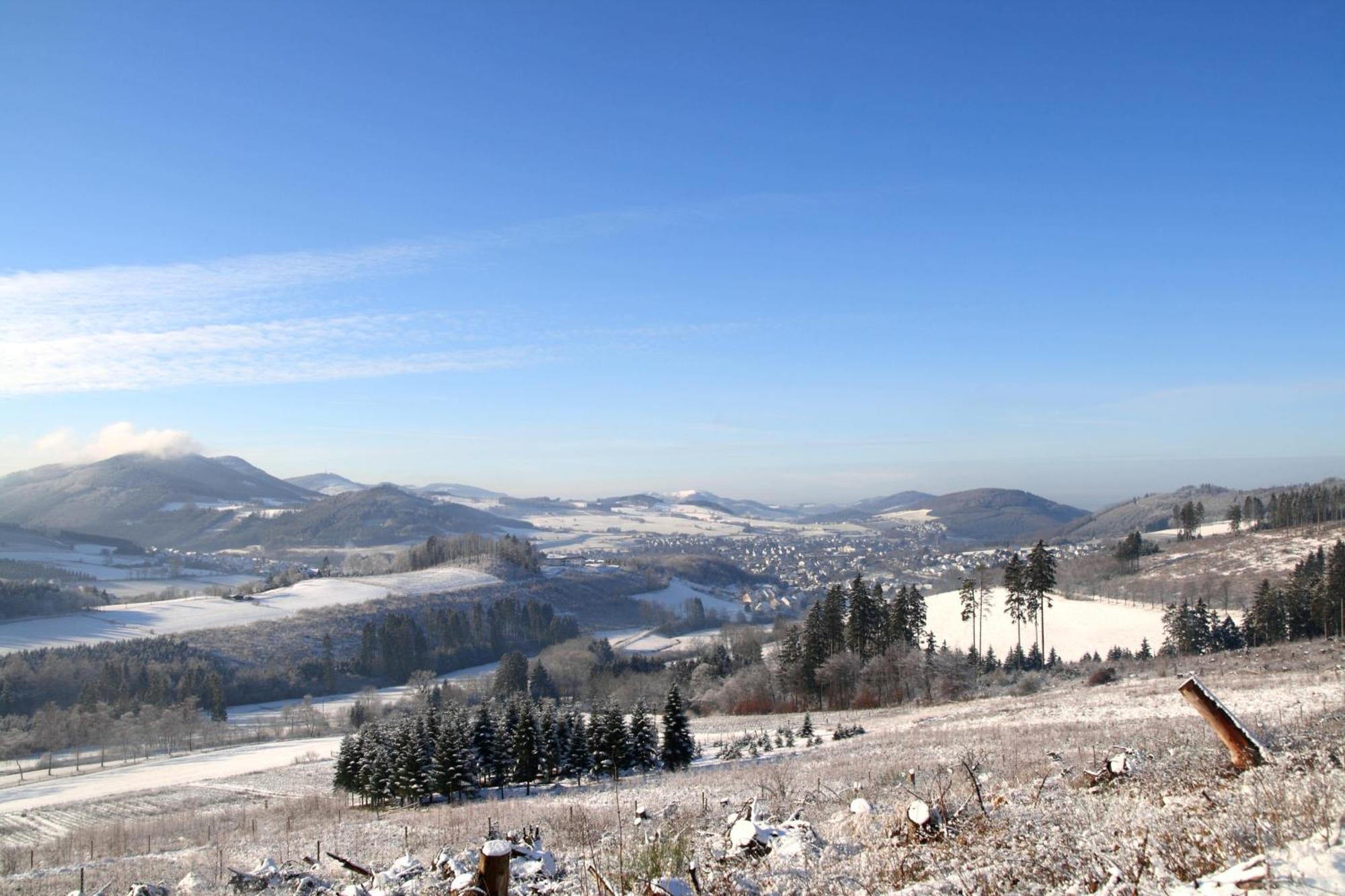 Waldhotel Schinkenwirt Olsberg Dış mekan fotoğraf