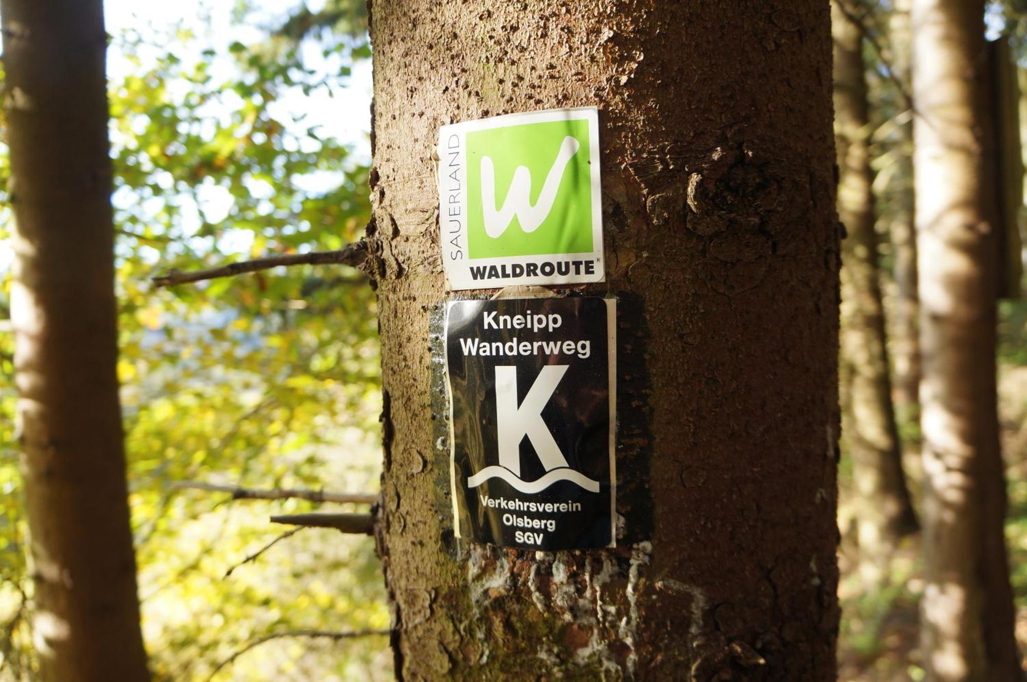 Waldhotel Schinkenwirt Olsberg Dış mekan fotoğraf