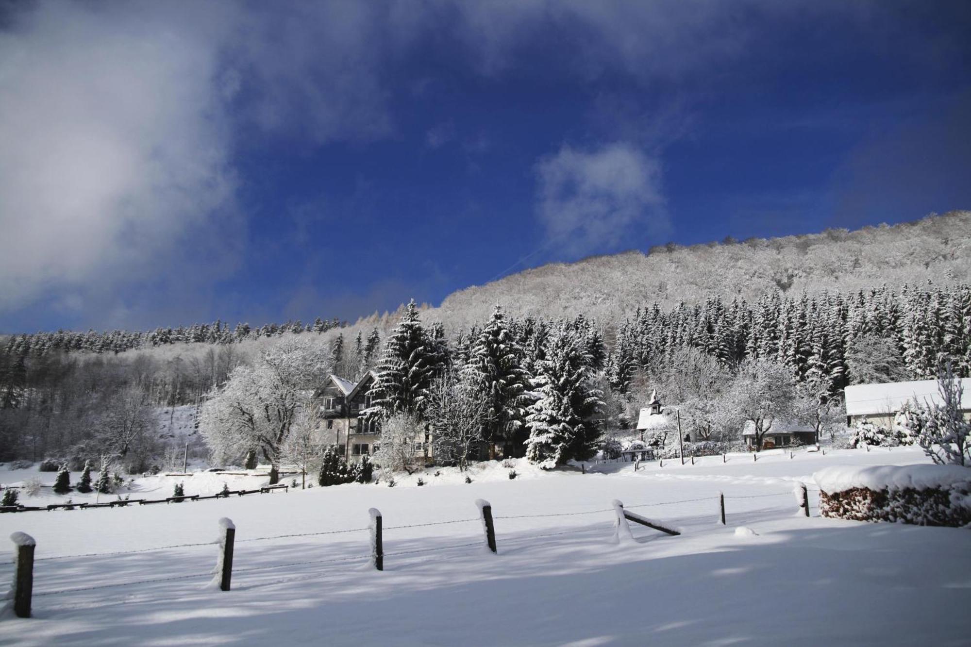 Waldhotel Schinkenwirt Olsberg Dış mekan fotoğraf