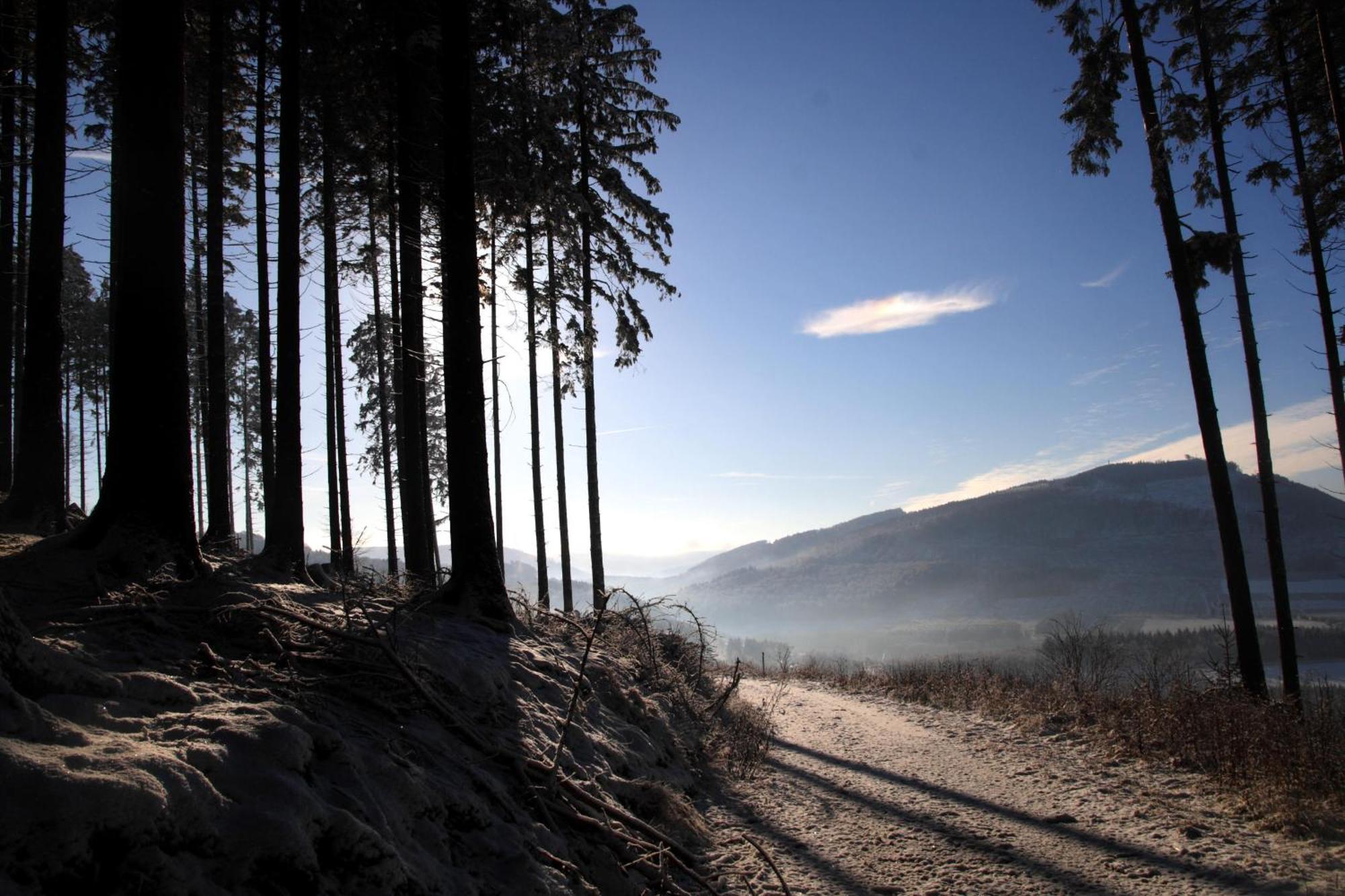 Waldhotel Schinkenwirt Olsberg Dış mekan fotoğraf
