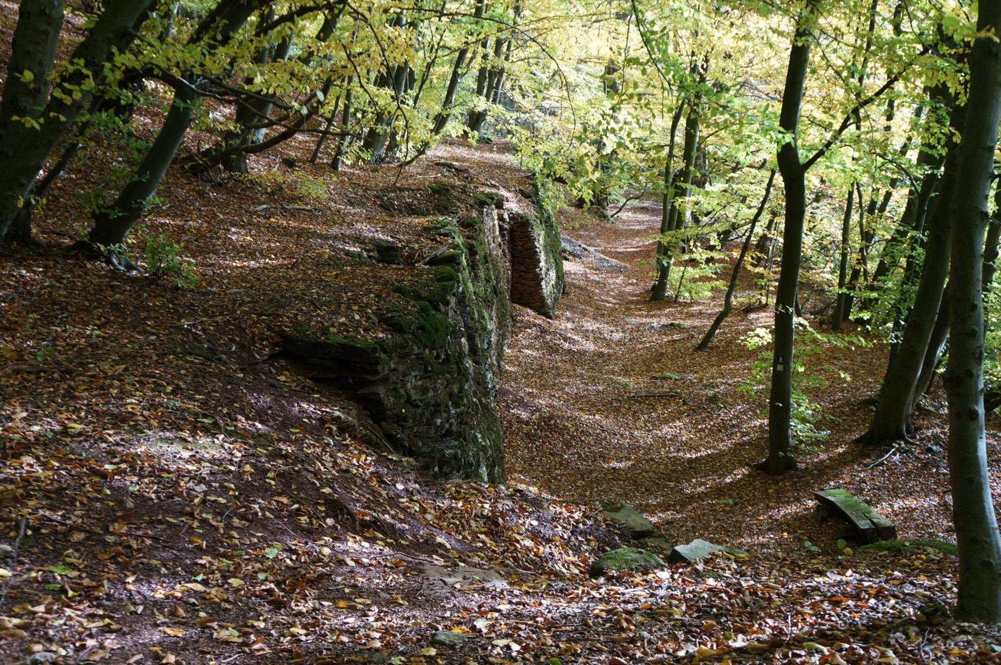 Waldhotel Schinkenwirt Olsberg Dış mekan fotoğraf